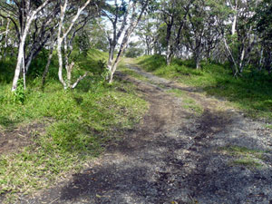 A private wooded lane leads to this surprising site.